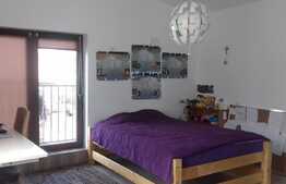 Casa individuala, 210 mp, 450 mp teren, zona linistita!