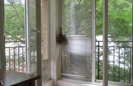 Spatiu birouri, zona centrala cu parcare inclusa!