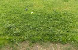 Apartament spatios, gradina de 60 mp, parcare cu CF! Zona strazii Eroilor!