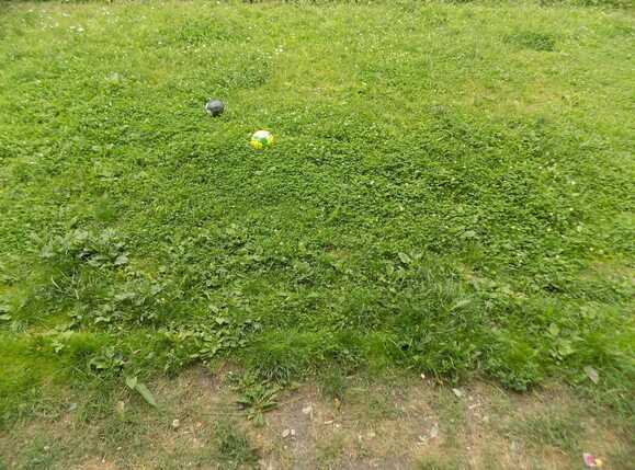 Apartament de vânzare 3 camere Floreşti - 32581AV | BLITZ Cluj-Napoca | Poza17