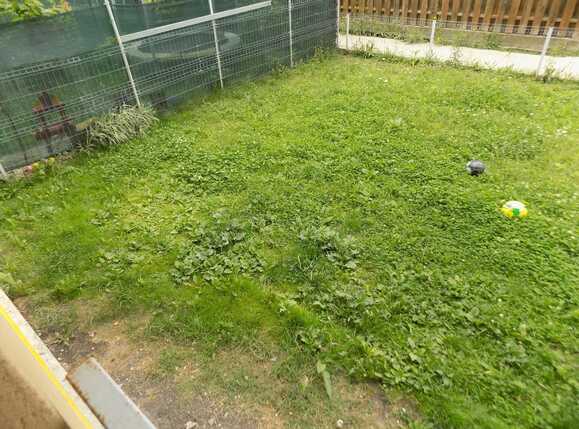 Apartament de vânzare 3 camere Floreşti - 32581AV | BLITZ Cluj-Napoca | Poza16