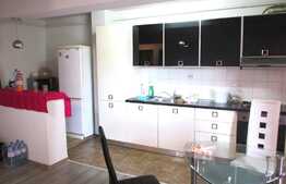 Apartament cu 2 camere, 54 mp, loc de parcare! Zona strazii Muzeul Apei!