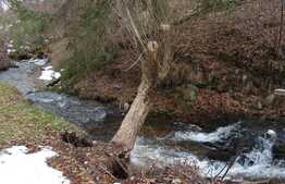 Casa de vacanta intr-o locatie linistita!