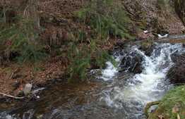 Casa de vacanta intr-o locatie linistita!