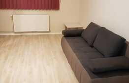 Garsoniera 22 de mp, pet friendly, zona strazii Cojocnei