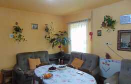 Casa de vanzare, 250 mp, teren 352 mp, front 16 ml, zona linistita