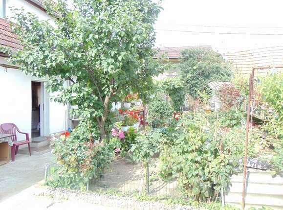 Casa de vânzare 4 camere Plopilor - 32607CV | BLITZ Cluj-Napoca | Poza9