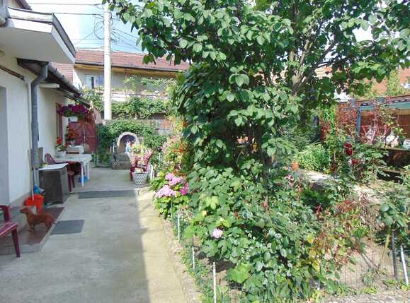 Casa de vânzare 4 camere Plopilor - 32607CV | BLITZ Cluj-Napoca | Poza10