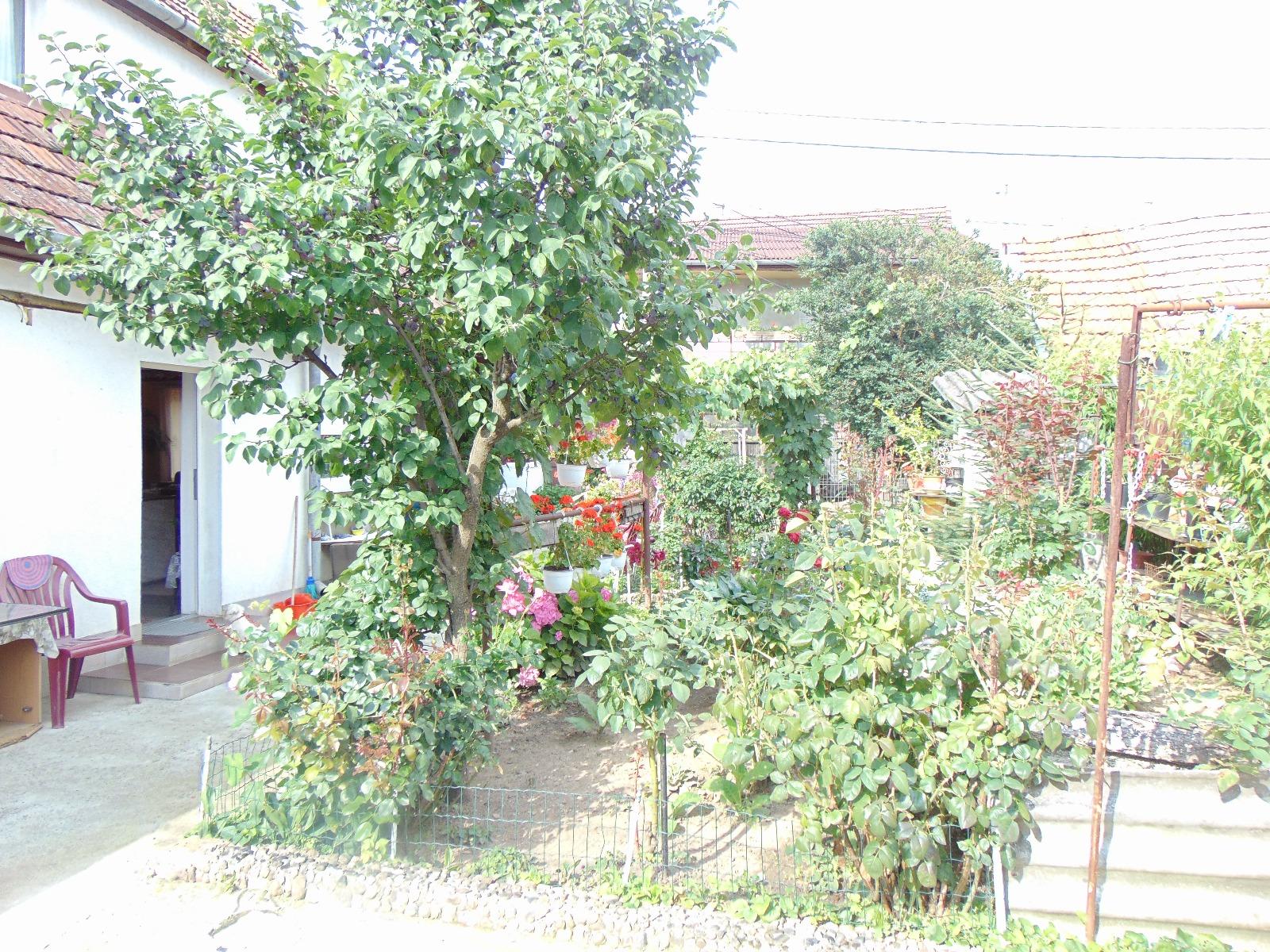 Casa de vânzare 4 camere Plopilor - 32607CV | BLITZ Cluj-Napoca | Poza9