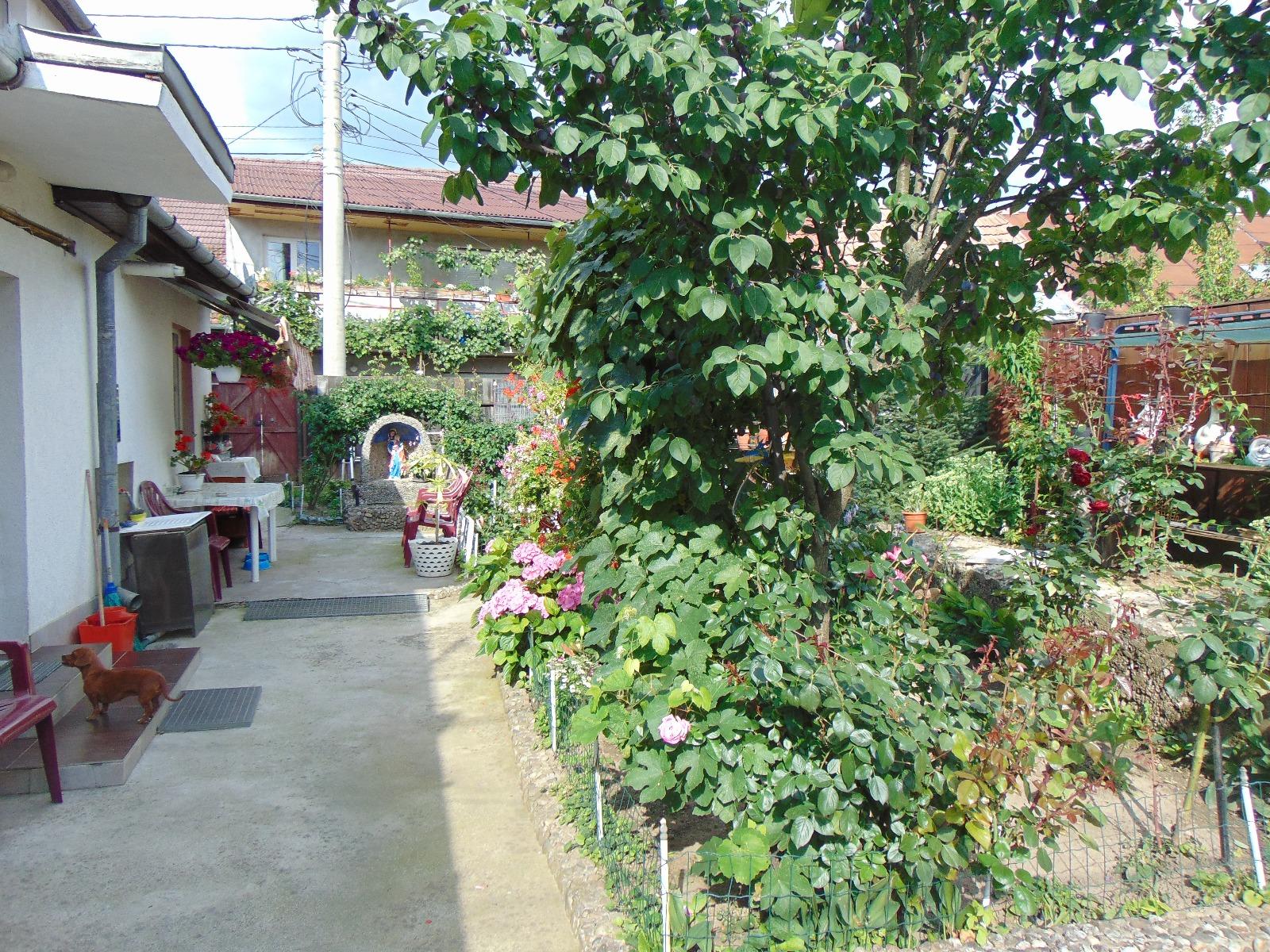 Casa de vânzare 4 camere Plopilor - 32607CV | BLITZ Cluj-Napoca | Poza10