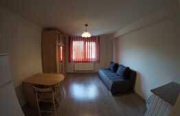 Garsoniera, 22 mp, pet friendly, zona strazii Fabricii