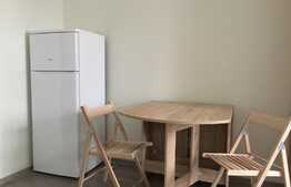 Garsoniera, 22 mp, pet friendly, zona strazii Fabricii