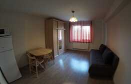 Garsoniera, 22 mp, pet friendly, zona strazii Fabricii