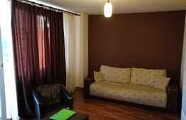 Garsoniera, 31 mp, balcon, etaj intermediar, zona Expo Transilvania