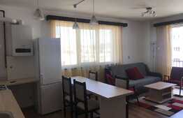 Apartament 2 camere, 50 mp, garaj, prima inchiriere, zona USAMV