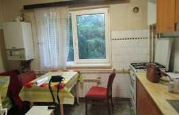 Garsoniera, 36 mp, balcon, zona Piata Marasti