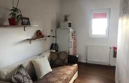 De vanzare garsoniera, 24 mp, zona Big