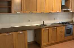 Apartament 2 camere, 67 mp, prima inchiriere, garaj, zona strazii Trifoiului