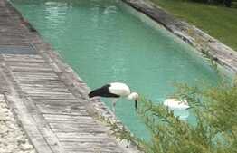 Proprietate de lux, 578 mp, teren 4938 mp, zona linistita!