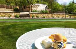 Proprietate de lux, 578 mp, teren 4938 mp, zona linistita!