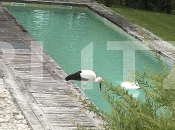 Casa de vânzare 7 camere Exterior Sud - 32668CV | BLITZ Cluj-Napoca | Poza9