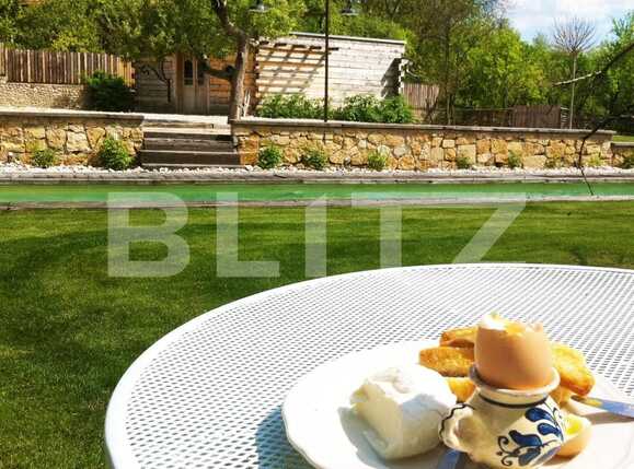 Casa de vânzare 7 camere Exterior Sud - 32668CV | BLITZ Cluj-Napoca | Poza8