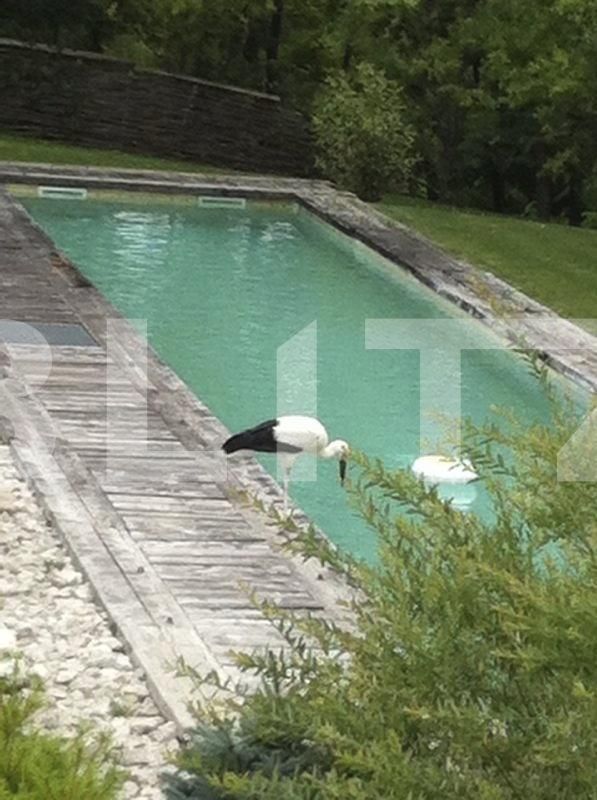 Casa de vânzare 7 camere Exterior Sud - 32668CV | BLITZ Cluj-Napoca | Poza9