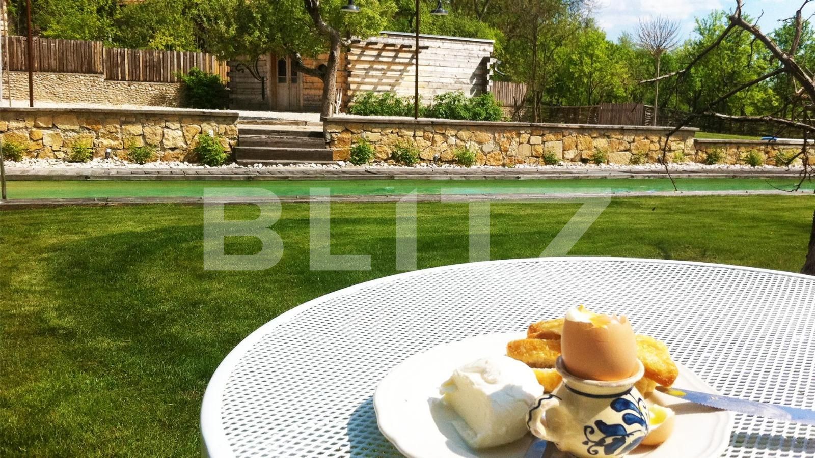 Casa de vânzare 7 camere Exterior Sud - 32668CV | BLITZ Cluj-Napoca | Poza8