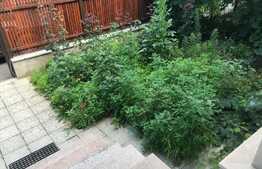 Casa individuala, 60 mp, teren 170 mp, zona 14 Iulie