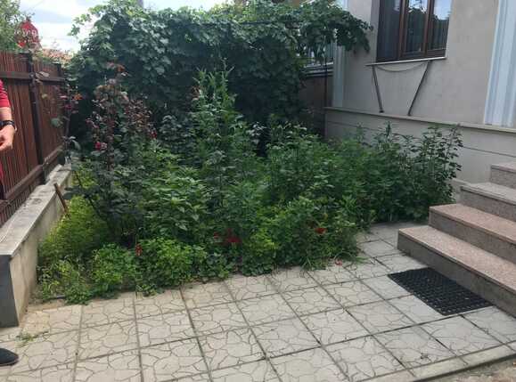 Casa de vânzare 2 camere Grigorescu - 32671CV | BLITZ Cluj-Napoca | Poza11