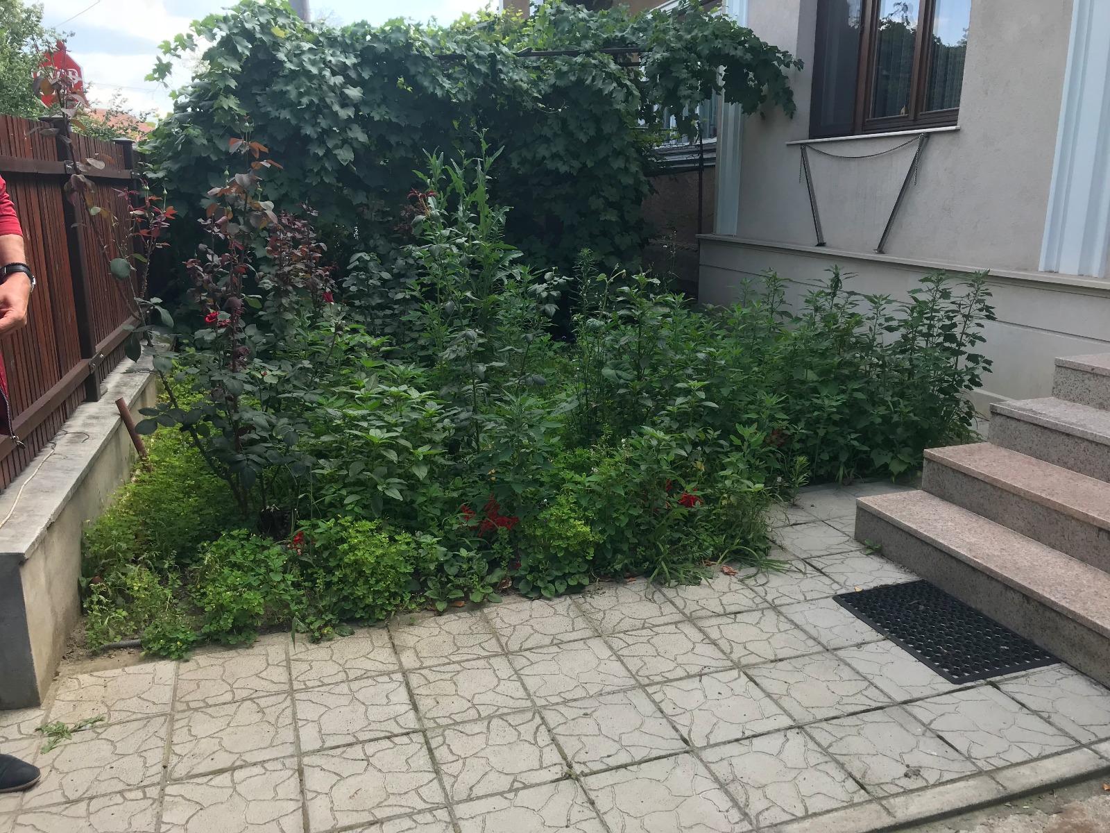 Casa de vânzare 2 camere Grigorescu - 32671CV | BLITZ Cluj-Napoca | Poza11