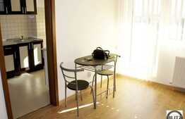 Apartament cu o camera, 40 mp, decomandat, bloc nou, zona Iulius Mall