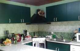 Casa individuala 170 mp, 330 mp teren, zona Engels