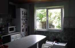 Casa individuala 170 mp, 330 mp teren, zona Engels