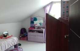 Casa individuala 170 mp, 330 mp teren, zona Engels