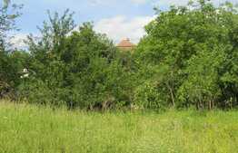 Casa demolabila, teren 2450 mp, zona strazii Oasului