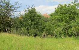 Casa demolabila, teren 2450 mp, zona strazii Oasului