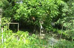 Casa demolabila, teren 2450 mp, zona strazii Oasului