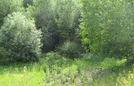 Casa demolabila, teren 2450 mp, zona strazii Oasului