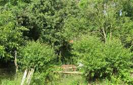 Casa demolabila, teren 2450 mp, zona strazii Oasului