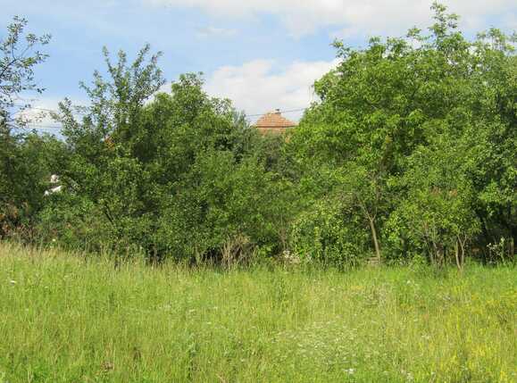 Casa de vânzare 2 camere Iris - 32698CV | BLITZ Cluj-Napoca | Poza5