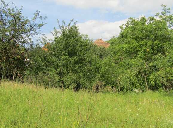 Casa de vânzare 2 camere Iris - 32698CV | BLITZ Cluj-Napoca | Poza11