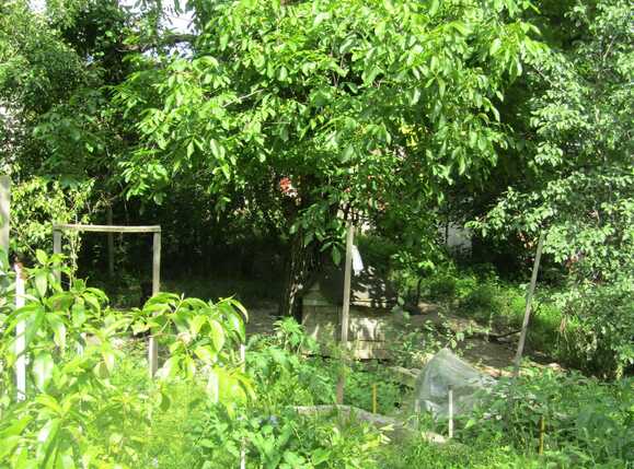 Casa de vânzare 2 camere Iris - 32698CV | BLITZ Cluj-Napoca | Poza9