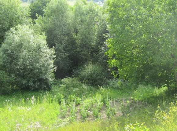 Casa de vânzare 2 camere Iris - 32698CV | BLITZ Cluj-Napoca | Poza8