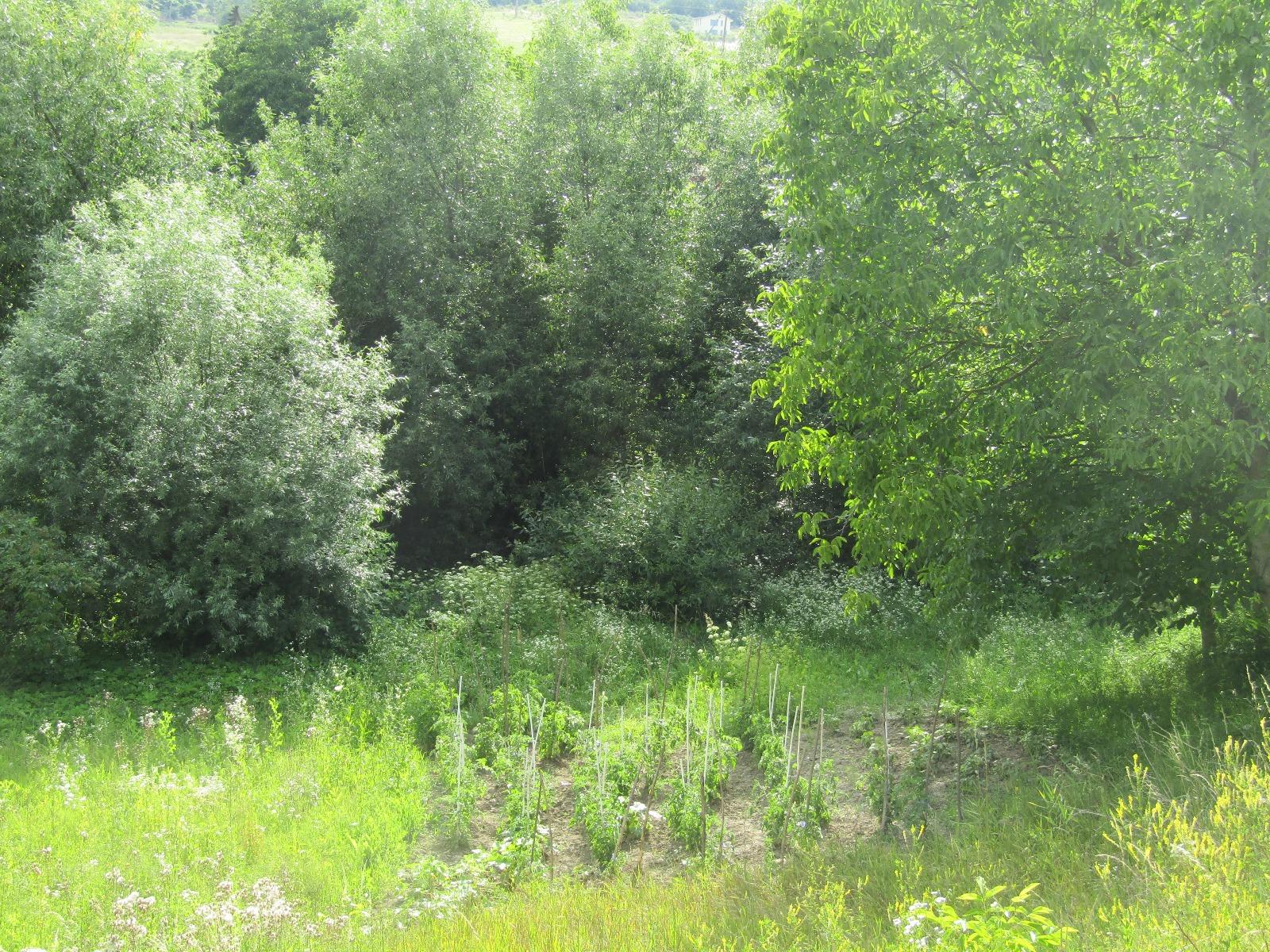 Casa de vânzare 2 camere Iris - 32698CV | BLITZ Cluj-Napoca | Poza8