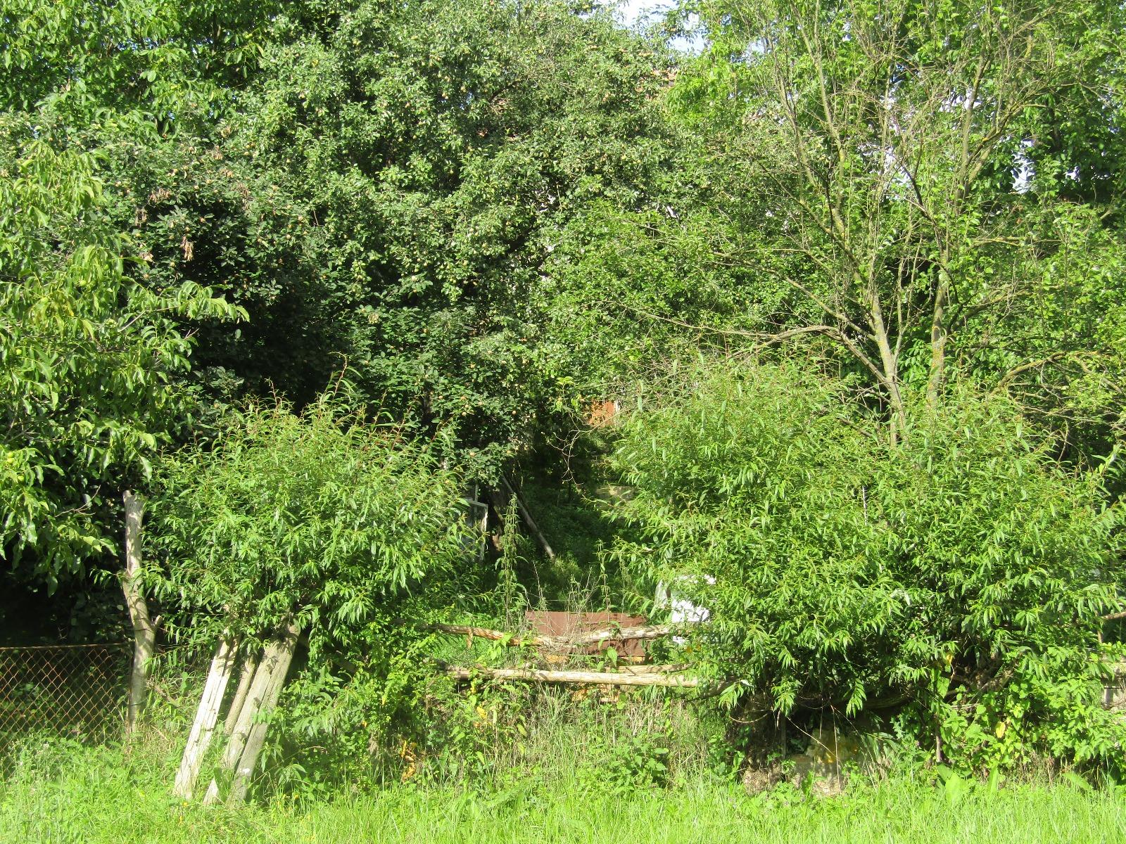 Casa de vânzare 2 camere Iris - 32698CV | BLITZ Cluj-Napoca | Poza7