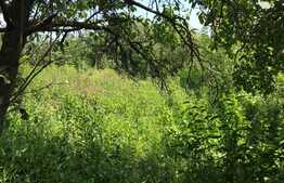 Casa individuala, 60 mp, teren 1080 mp, front 10 ml, zona Denver