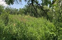 Casa individuala, 60 mp, teren 1080 mp, front 10 ml, zona Denver