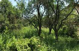 Casa individuala, 60 mp, teren 1080 mp, front 10 ml, zona Denver