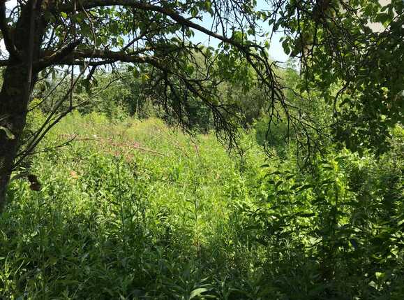 Casa de vânzare 2 camere Manastur - 32706CV | BLITZ Cluj-Napoca | Poza1